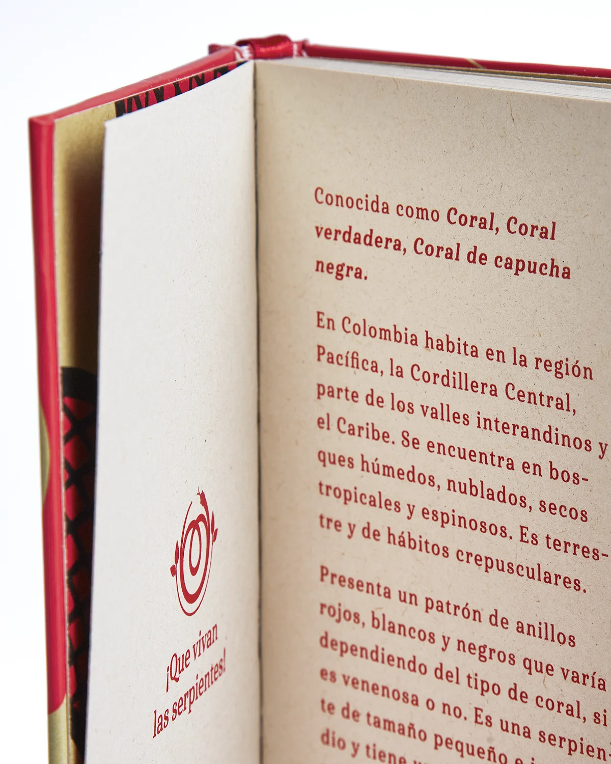 Libreta Coral leyenda ilustrada